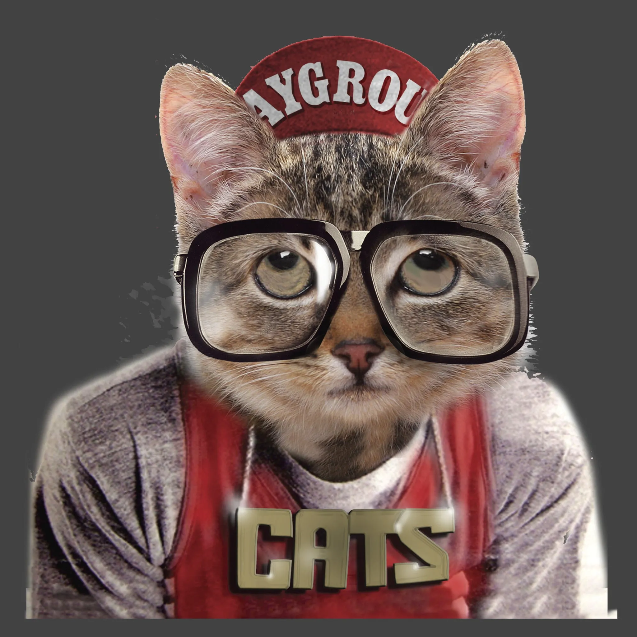 CAT FROM MARS MEN'S TANK
