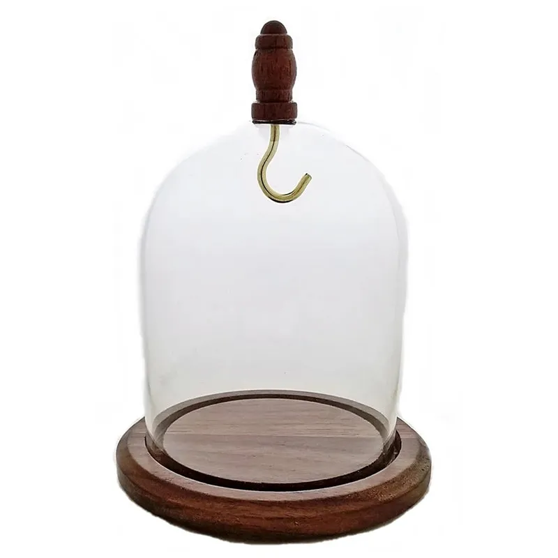 Pocket Watch Glass Display Dome Cloche Hook Real Walnut Base & Wood Knob 3"x4"
