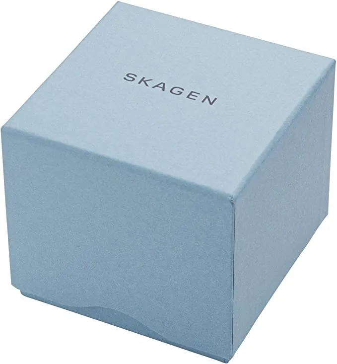 Skagen Ancher Steel Mesh Women's Watch 358SSSBD